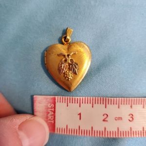 Black Hills Gold locket